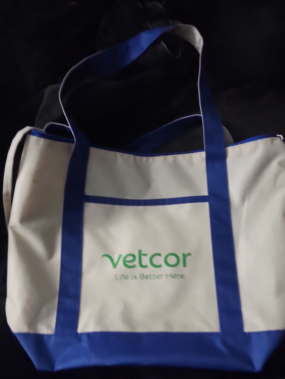 White and Blue Canvas Tote Bag